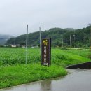 아로니아민박 이미지