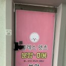 블레스펫츠 이미지