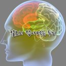조례태권도장 네이버블로그