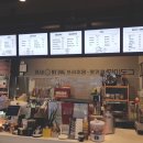 디어도그 이미지