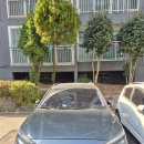 스마트워시JIT장유점 이미지