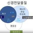 공부의욕, 아이의 사춘기를 대비하는 힘 이미지