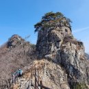 닥터테드