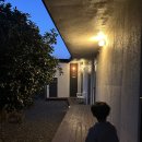 가지스테이 | 제주 | 아들이랑 둘이 간 여행 가지스테이에서 2박 3일