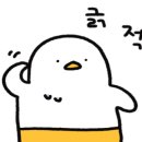 아리아리정선시네마 이미지