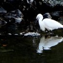 이종문 농장 이미지