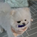 이뻐지는산책 이미지