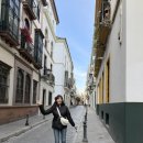 파라솔식당 | [스페인] Day5 세비야 여행, 메트로폴 파라솔, 플라멩고, Bendala 레스토랑 비추 후기