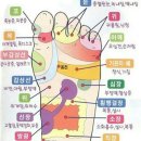 발건강 이미지
