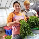 쌍용농장 이미지