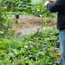 봉다리농장 이미지