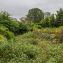 호매실천 이미지