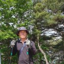 돈달약수터 Daum카페