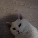 예진실업