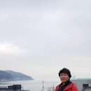 만성리길 이미지