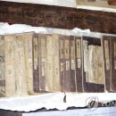 김인섭 단계일기 이미지