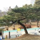꽃과정원사 이미지