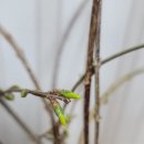 주희침구 이미지