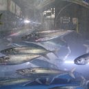 욕지횟집 이미지