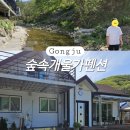 숲속개울가 이미지