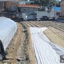 김**(단독주택) 이미지