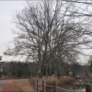 한화목장 이미지