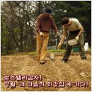 내마음의외갓집