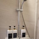 여수애견하우스 이미지