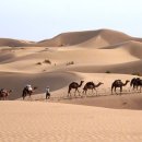 동서교역 이미지