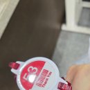 시민문화.체육복합센터 | [수영 원정] 제주도 수영장 후기 - 서귀포 시민문화 체육 센터/ 애월 복합문화 체육센터