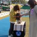 진경이네 이미지