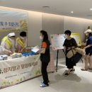파티마 이미지