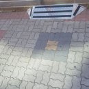 경북지체장애인협회 경산시지회 이미지