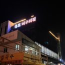 속초 물회맛집 봉포머구리집 모둠물회&amp;성게비빔밥 재방문 후기