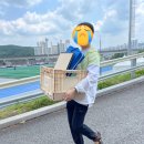 실망스러웠던 용인 &lt;피크닉 페스티벌&gt; 후기