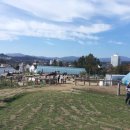 대관령 아기동물농장 이미지