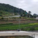 이디야커피사천 이미지