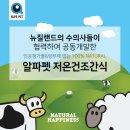 애견간식 알파펫 양고기 큐브로 입맛을 살려요