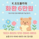 안동의료원 | 안동의료원장례식장 국화원 근조화환 접수 안내 (안동 전역 가능)