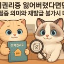 정운필행정사무소 | 🏠 등기권리증 잃어버렸다면? 등기필증 의미와 재발급 불가시 대처법
