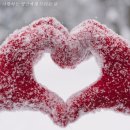 연광시니어타운