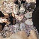 연에르모쏘 이미지