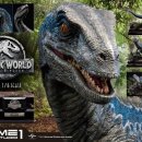 스튜디오 블루 이미지