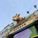 성우축산 이미지