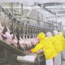 (주)하림 이미지