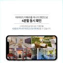 글로벌아이넷 로보뷰G 홈 IP 카메라 내돈내산, 화질 정말 좋아요