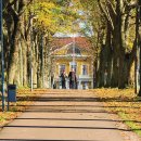 중앙정형외과 이미지