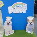 마이리틀퍼피 이미지