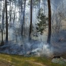 대원2리 이미지