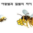 정왕점핑클럽